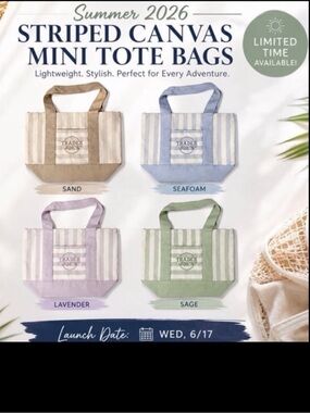 Trader Joe's Striped Canvas Mini Tote Bag - Seafoam, Sand, Lavender, Sage